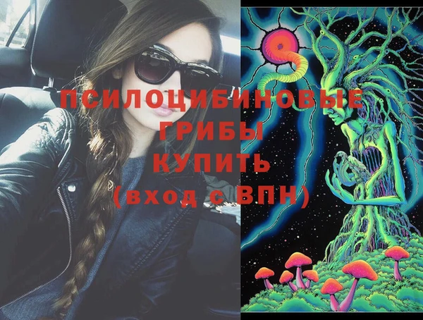 дурь Алексеевка