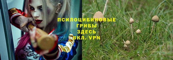 прущая мука Алексин