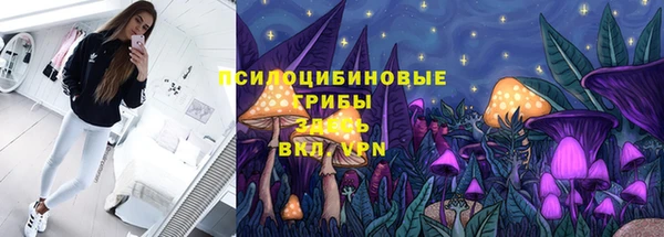 мяу мяу мука Алзамай