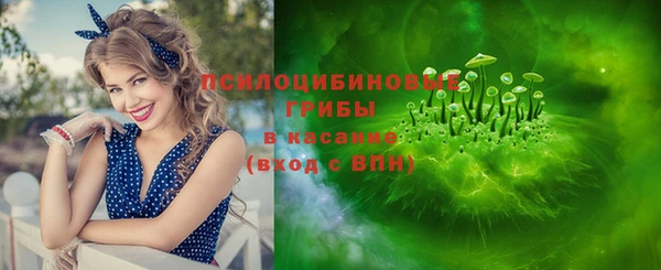 мяу мяу мука Алзамай