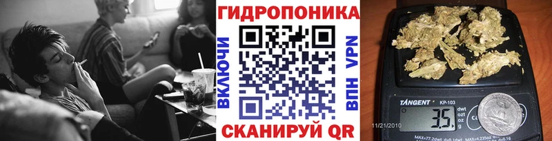 Конопля MAZAR  Грязовец 